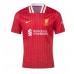 Camisa de time de futebol Liverpool Alexis Mac Allister #10 Replicas 1º Equipamento 2024-25 Manga Curta